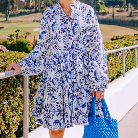 Charina Sarte Dress China Button Down Mini - Picture 1 of 14